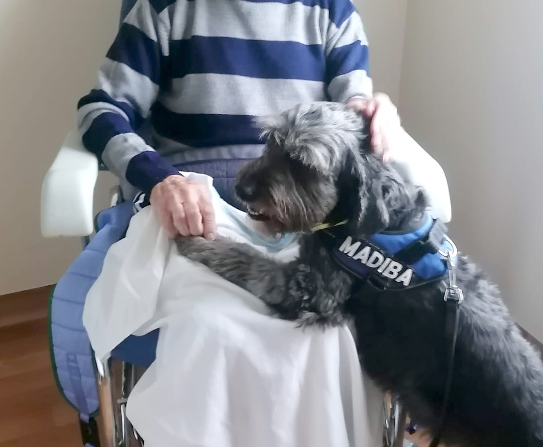 Le club SPECA organise des visites avec des chiens-visiteurs aux personnes dans les établissements de soin, maison de retraite etc…
