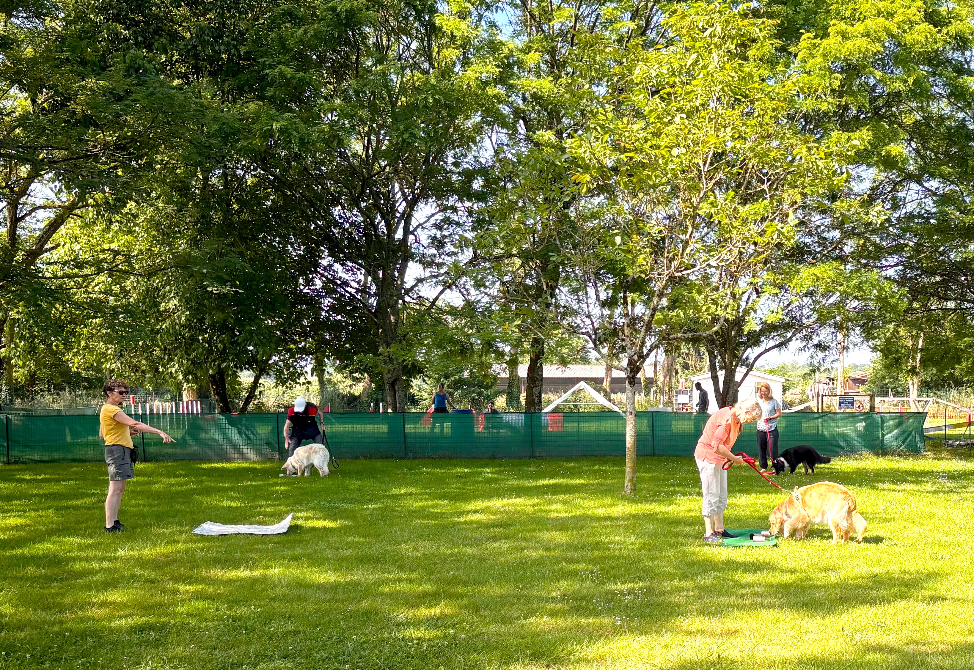 Le club SPECA propose l'activité Complicité pour renforcer votre lien avec votre chien et le préparer aux sports canins