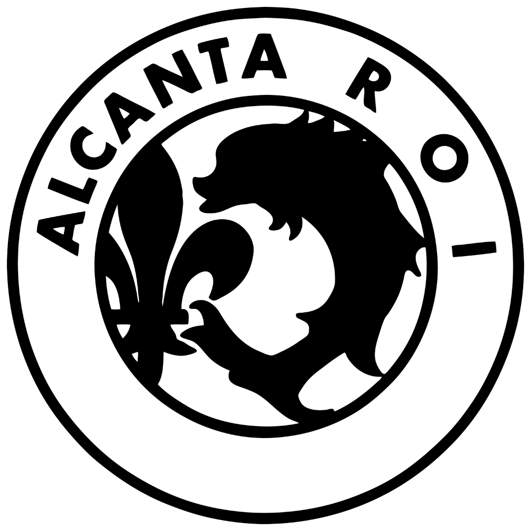 Logo Alcanta Roi - atelier de soin esthétique automobile à bourgoin jallieu en Isère