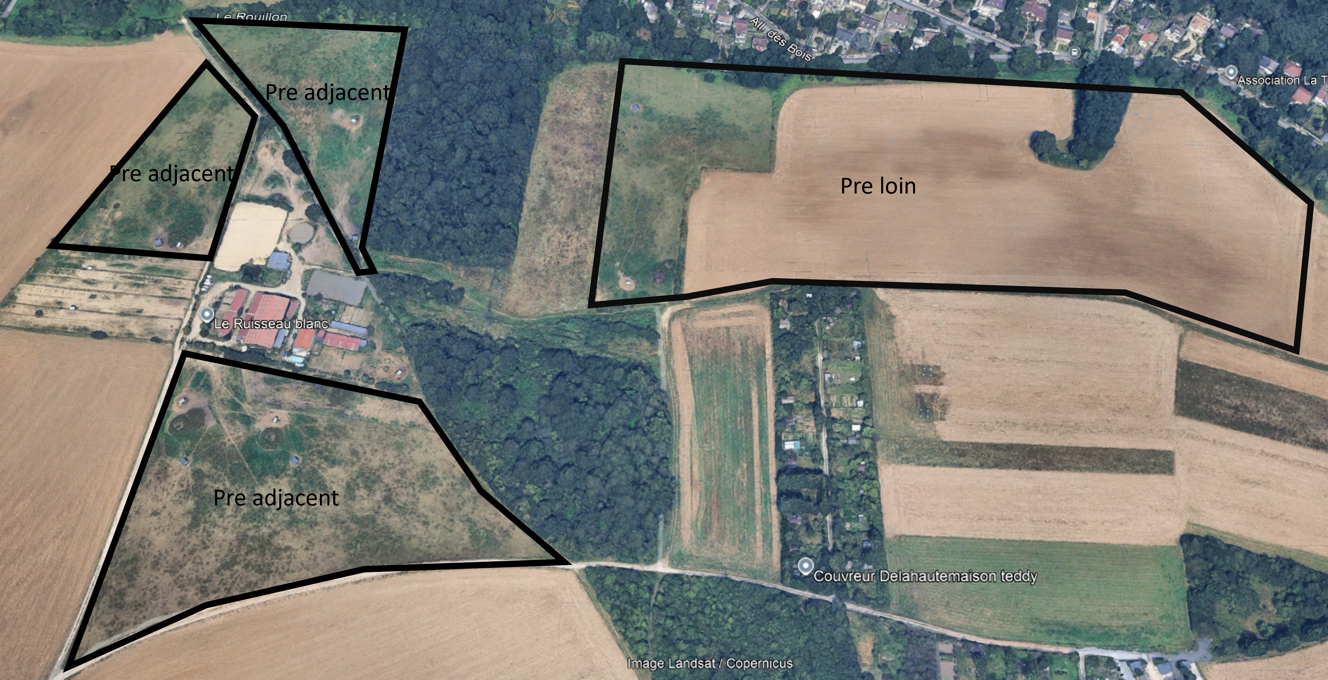Plan-pre-cerb