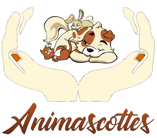 Logo-Animascottes edited