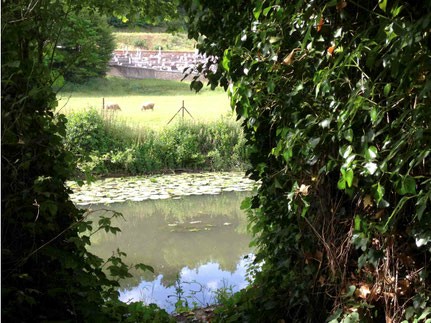 Vue-cimetiere-depuis-la-Risle