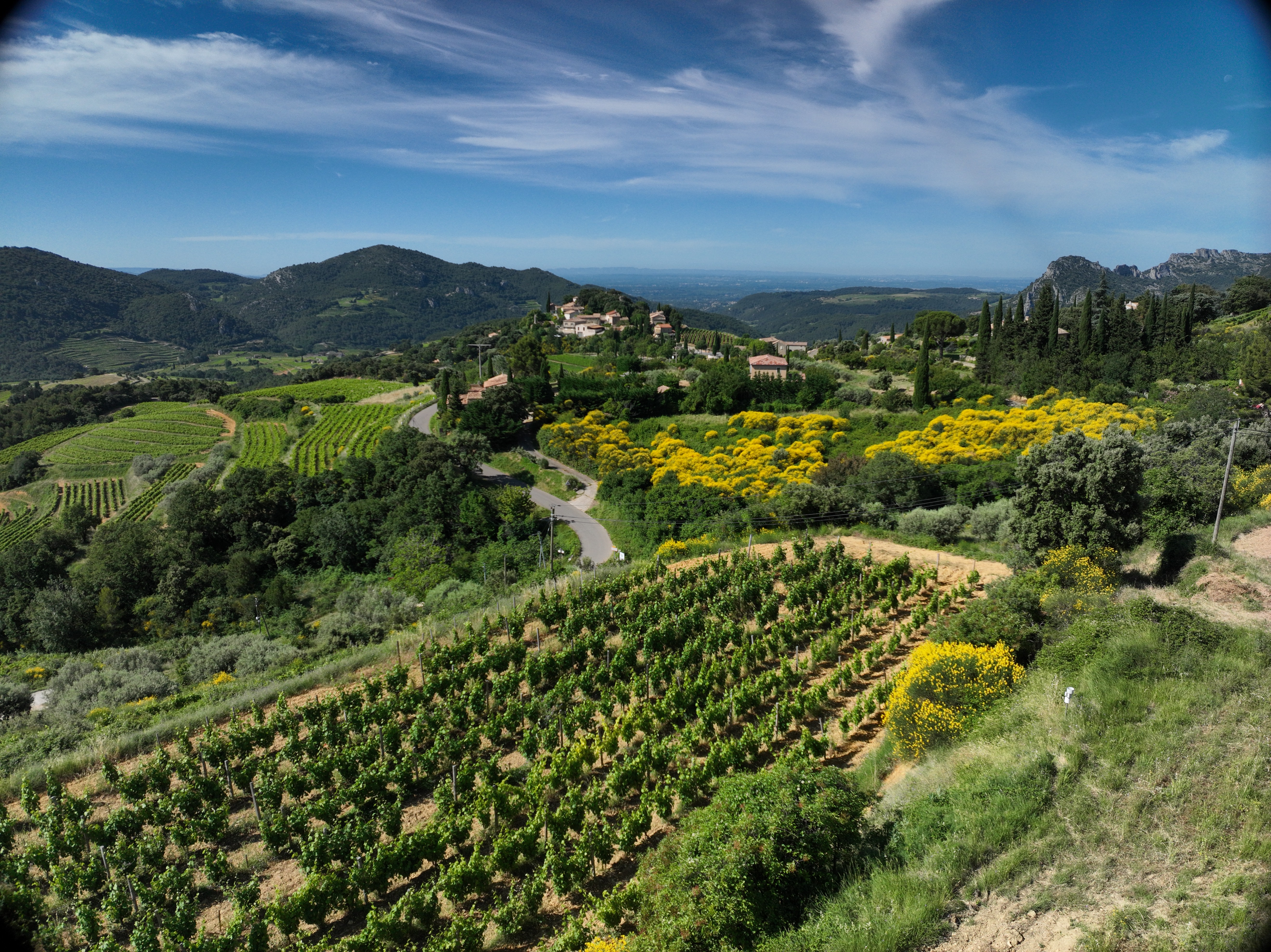 Village-vue-loin-avec-vignes-et-genets