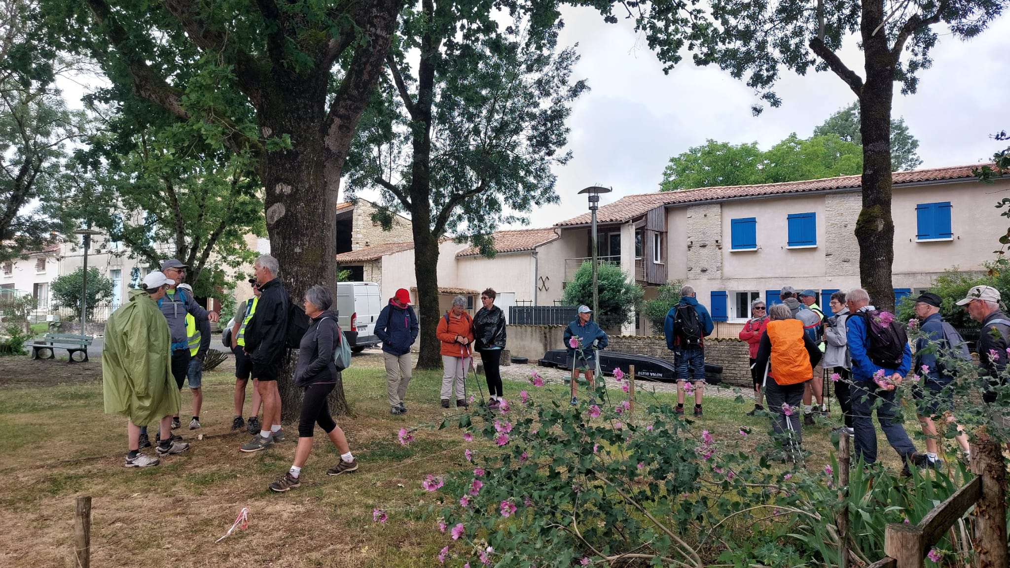 Img 20260609 wa0006