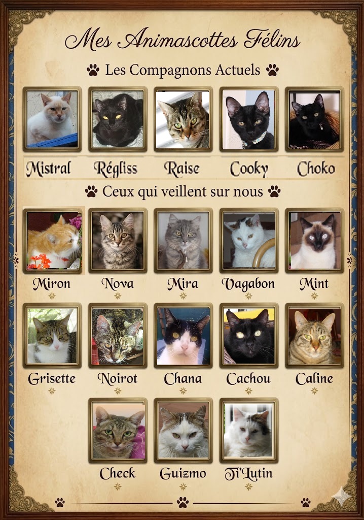 Mes-18-Animascottes-Felins