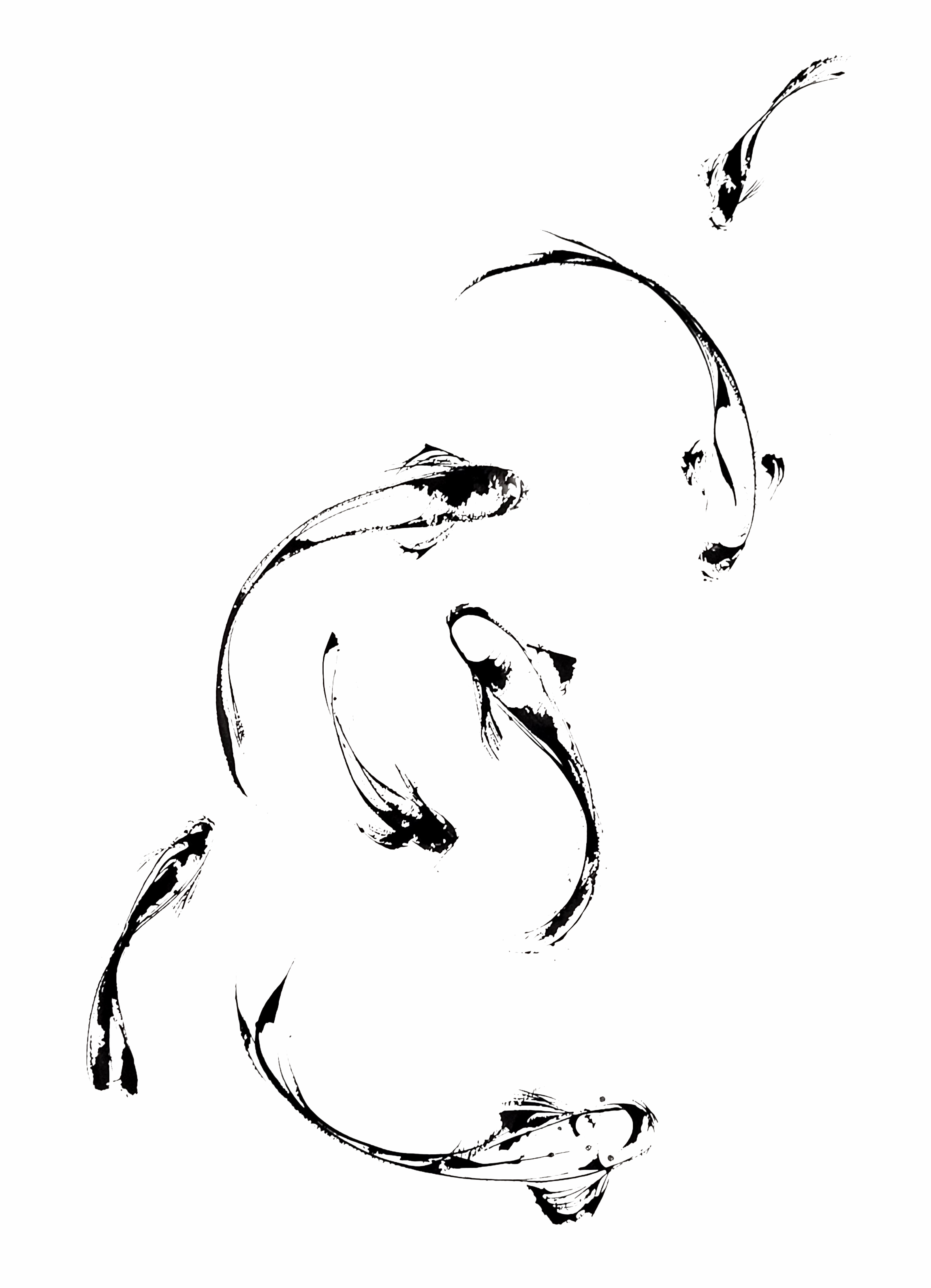 Magoi — encre de Chine sur papier, carpe Koï noire, Laurence Bernard