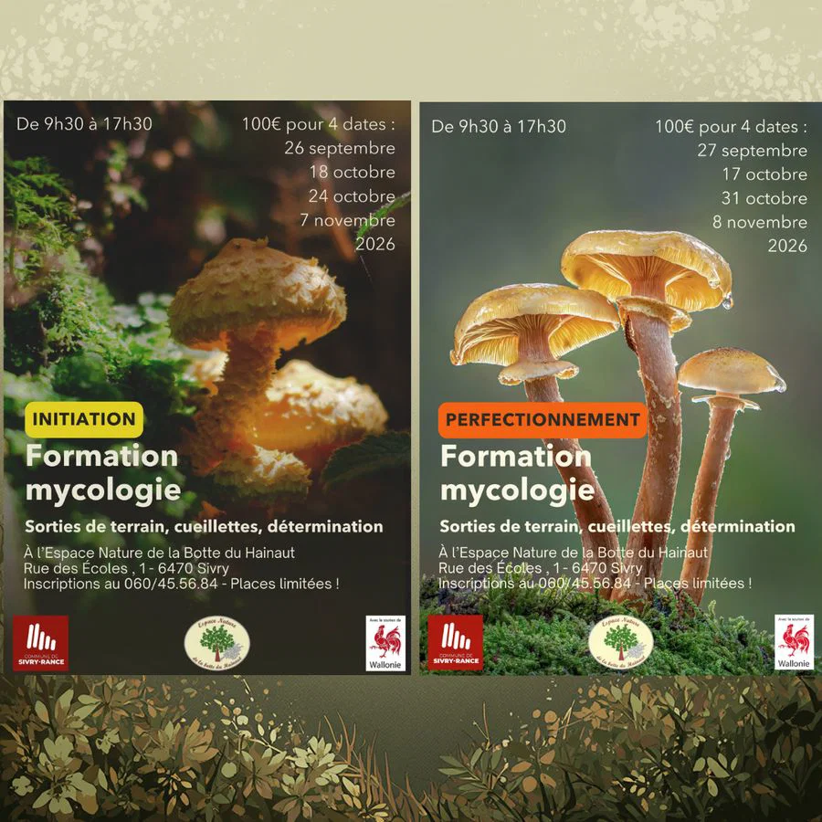 1770215216560-Formations-mycologie-2026