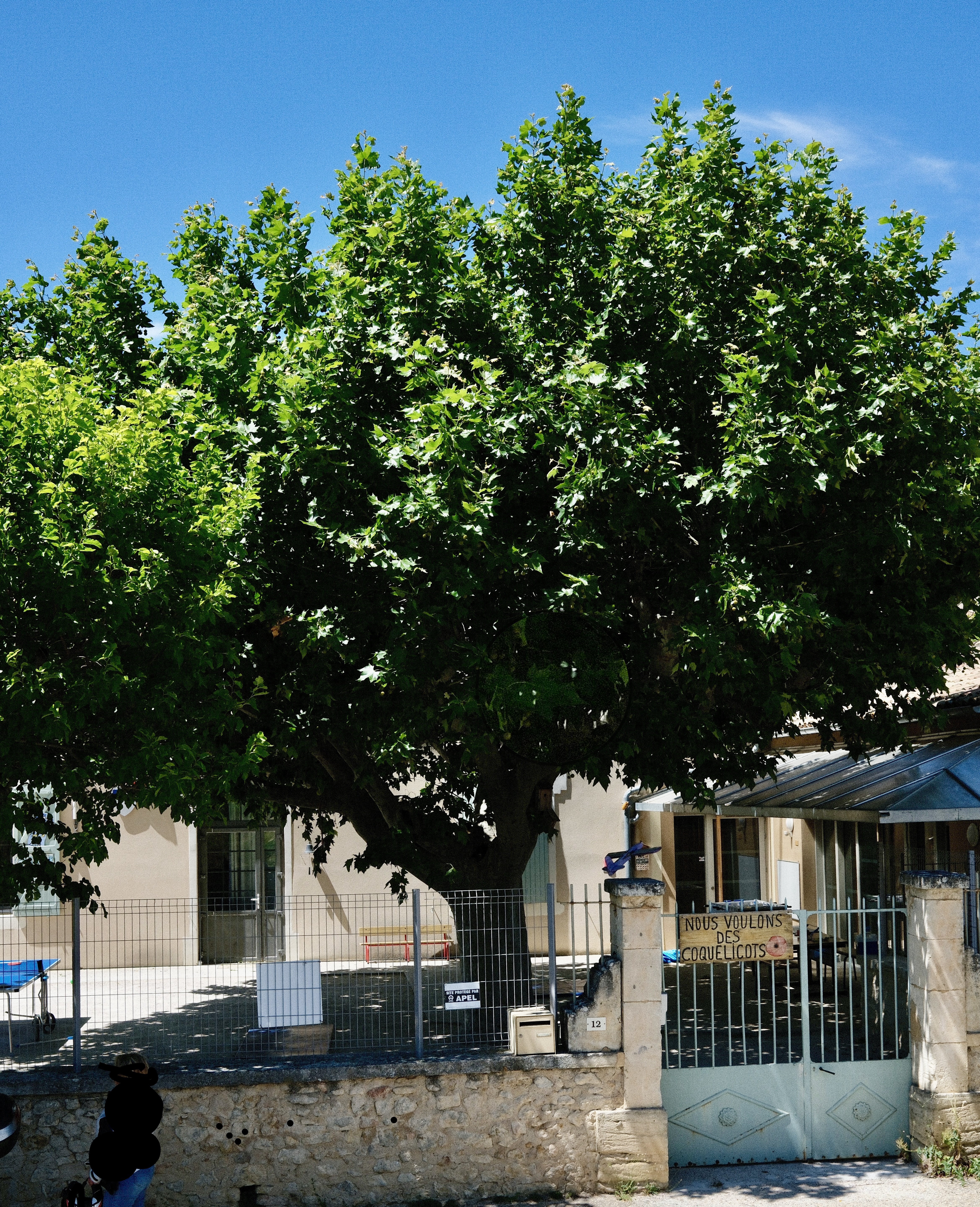 Ecole ED