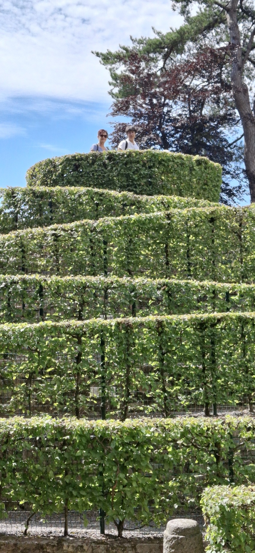 20260618 155431