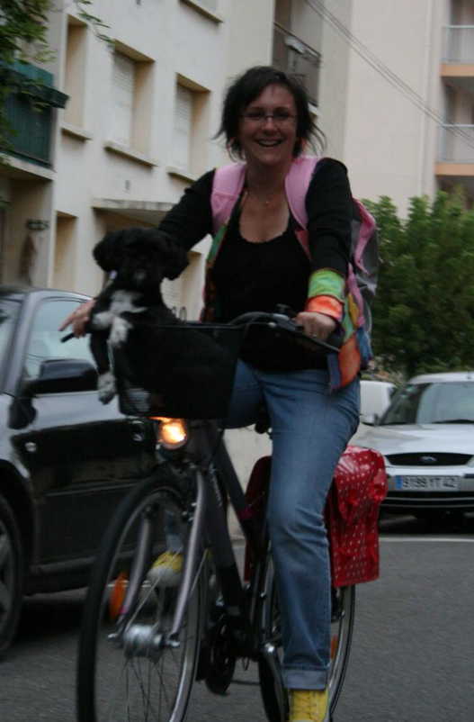 Mag velo chien promenade reconstruction mici stomie