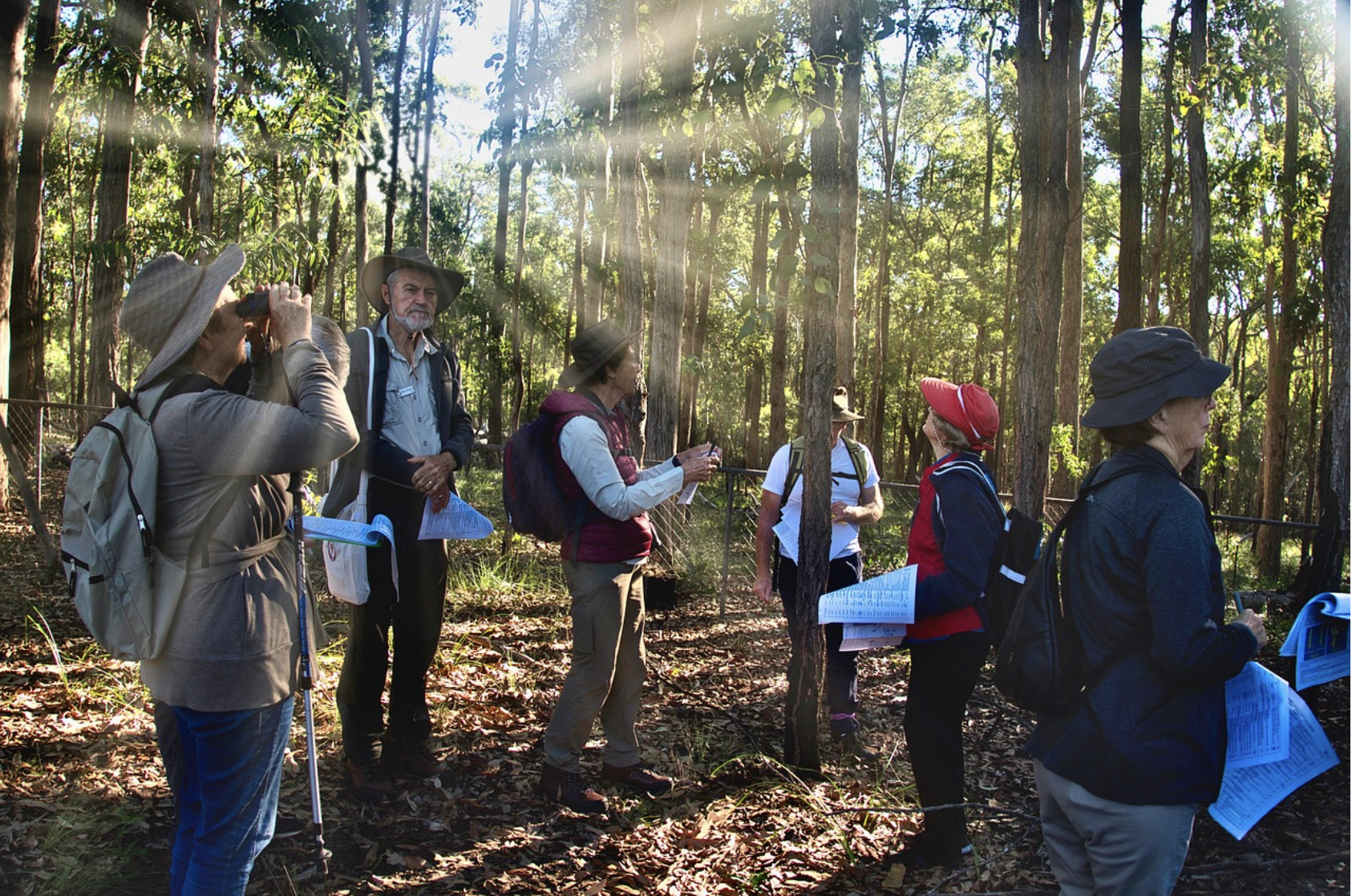 Participants du Collectif Transitions Périgord Noird lors d'une sortie organisé par le groupe forêt