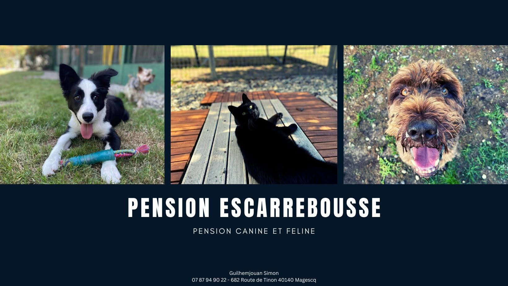 La pension Escarebousse, partenaire du club SPECA, une pension canine profondément passionnée par l'excellence canine et le bien-être de nos fidèles compagnons à quatre pattes.