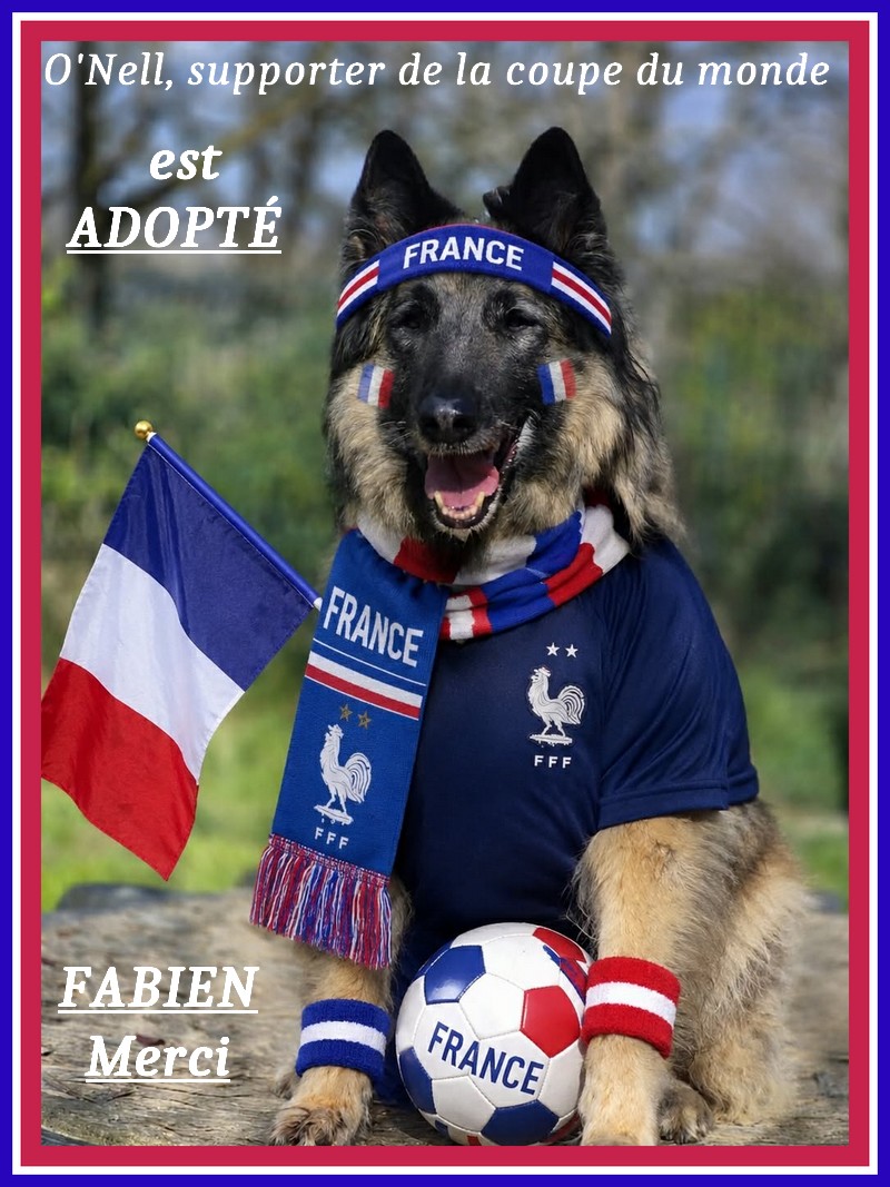 Fabien- -adoption-d-o-neil-supporter-de-la-coupe-du-monde-26 juin-26
