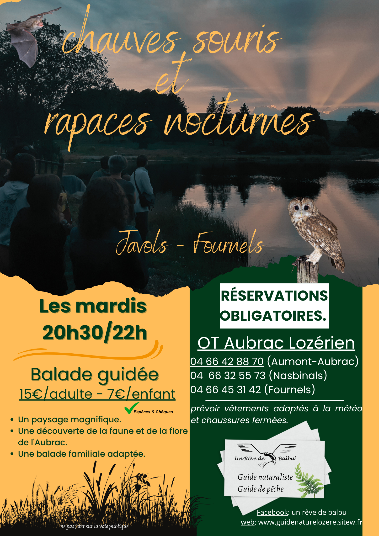 Chauves-souris-et-chouette