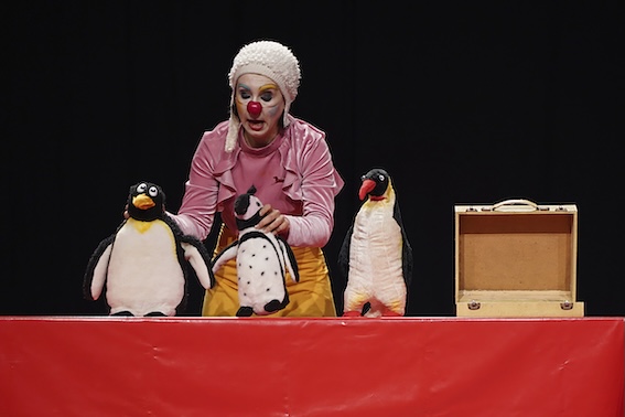 Magic pinguin circus cie la soif photo 4 jawad abdelkader