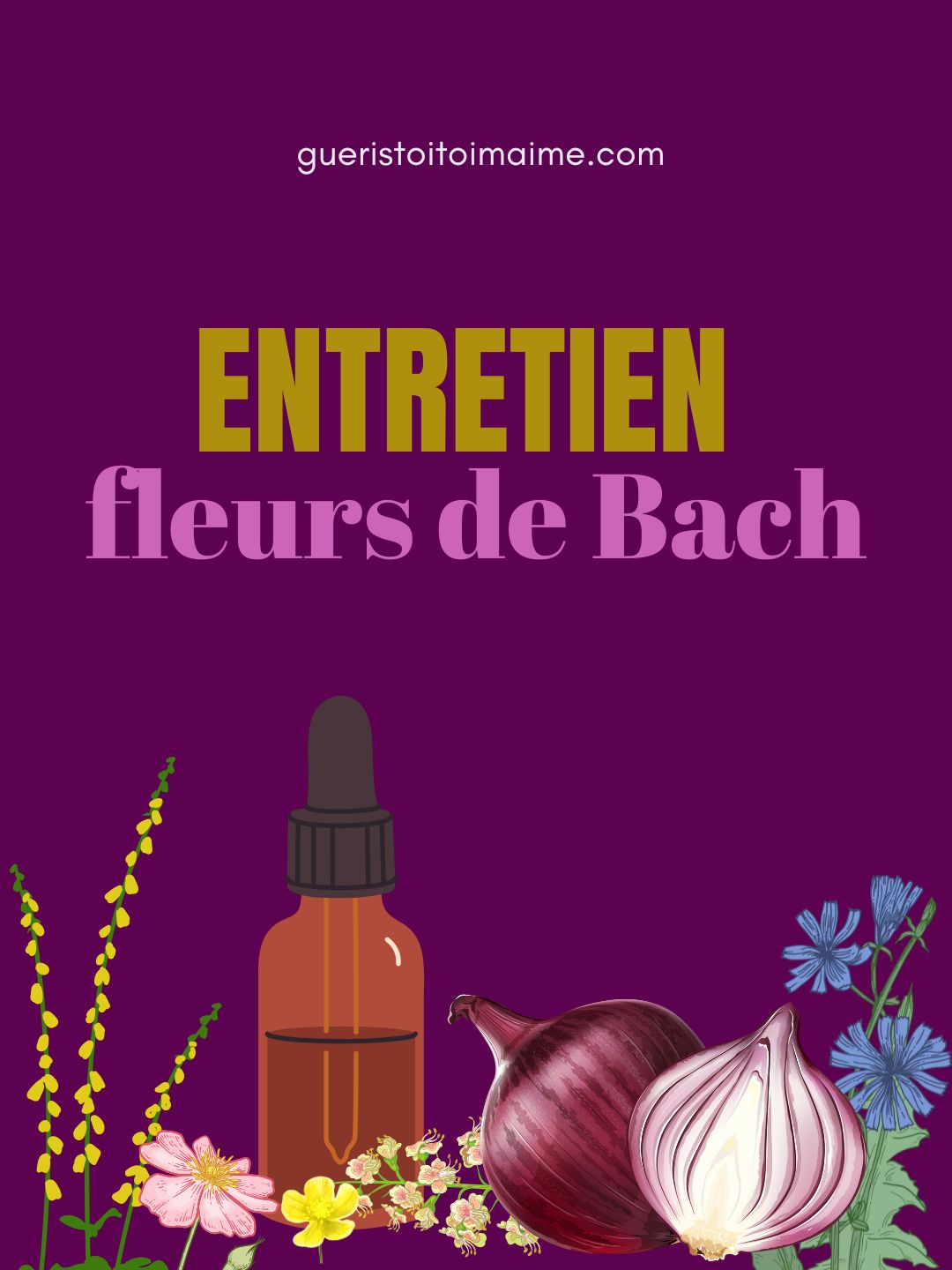 Entretien-Fleurs-de-Bach