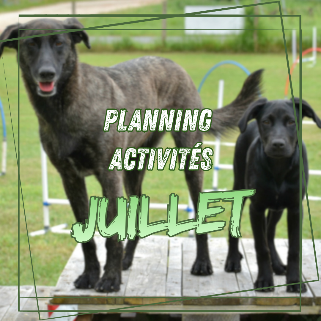 Planning activités de Juillet