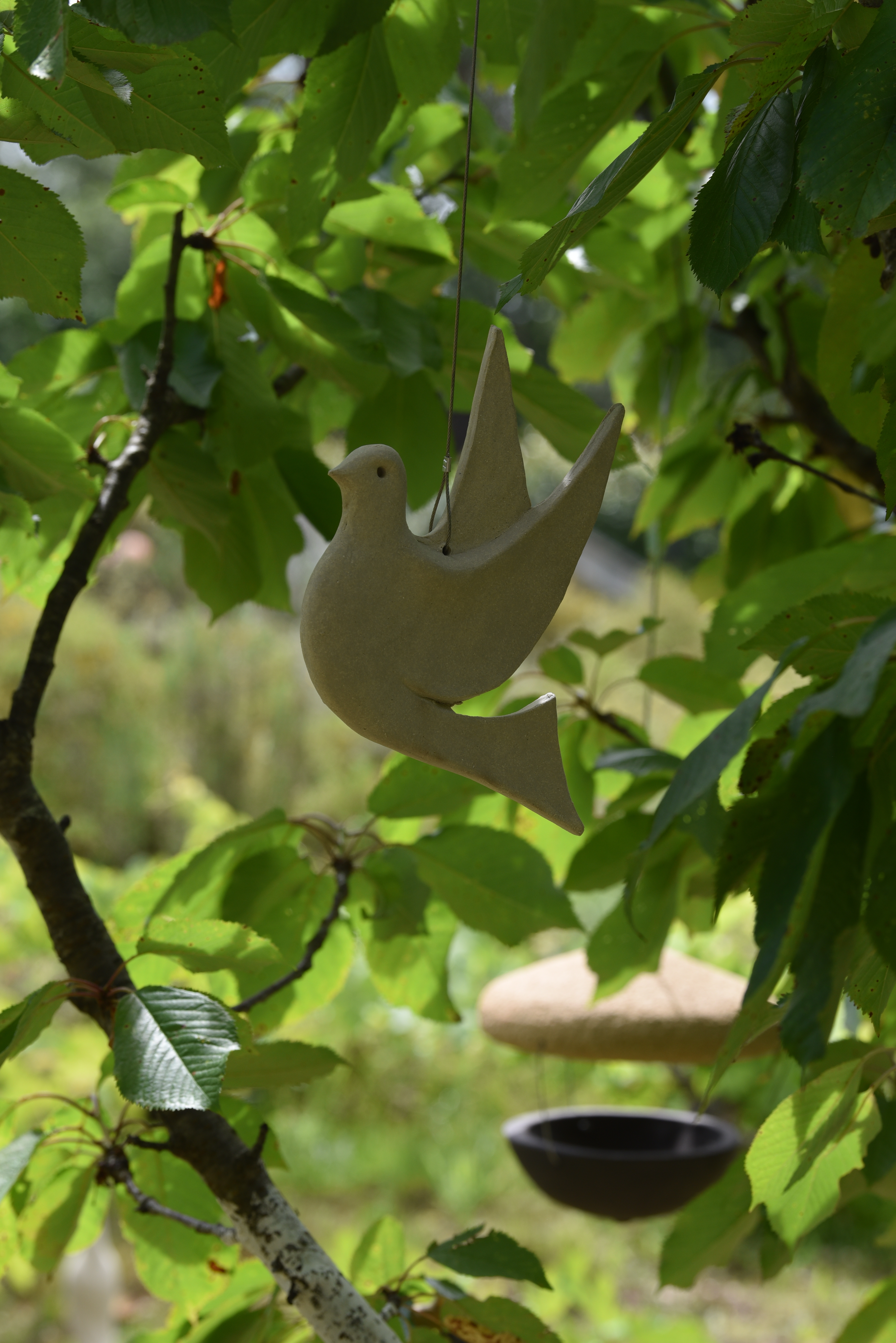 Colombe
