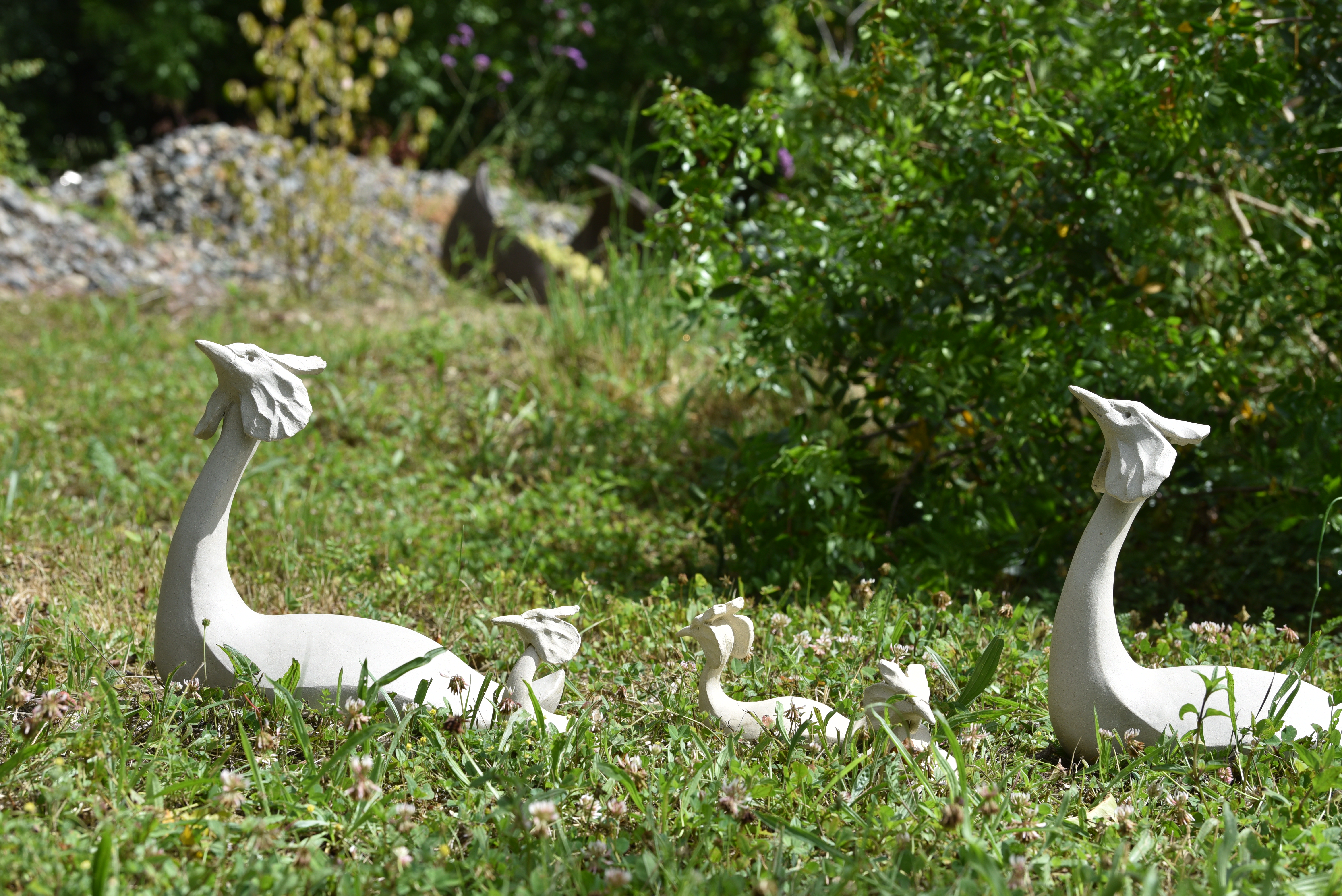 Grebes famille