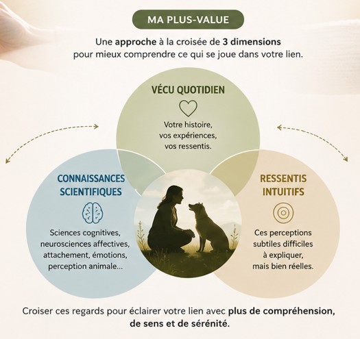 Ma-demarche-Ma-plus-value