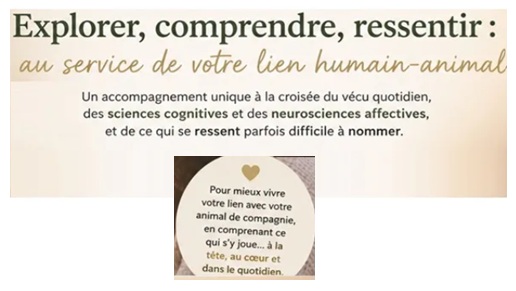 Visuel-Ma-demarche-Titre