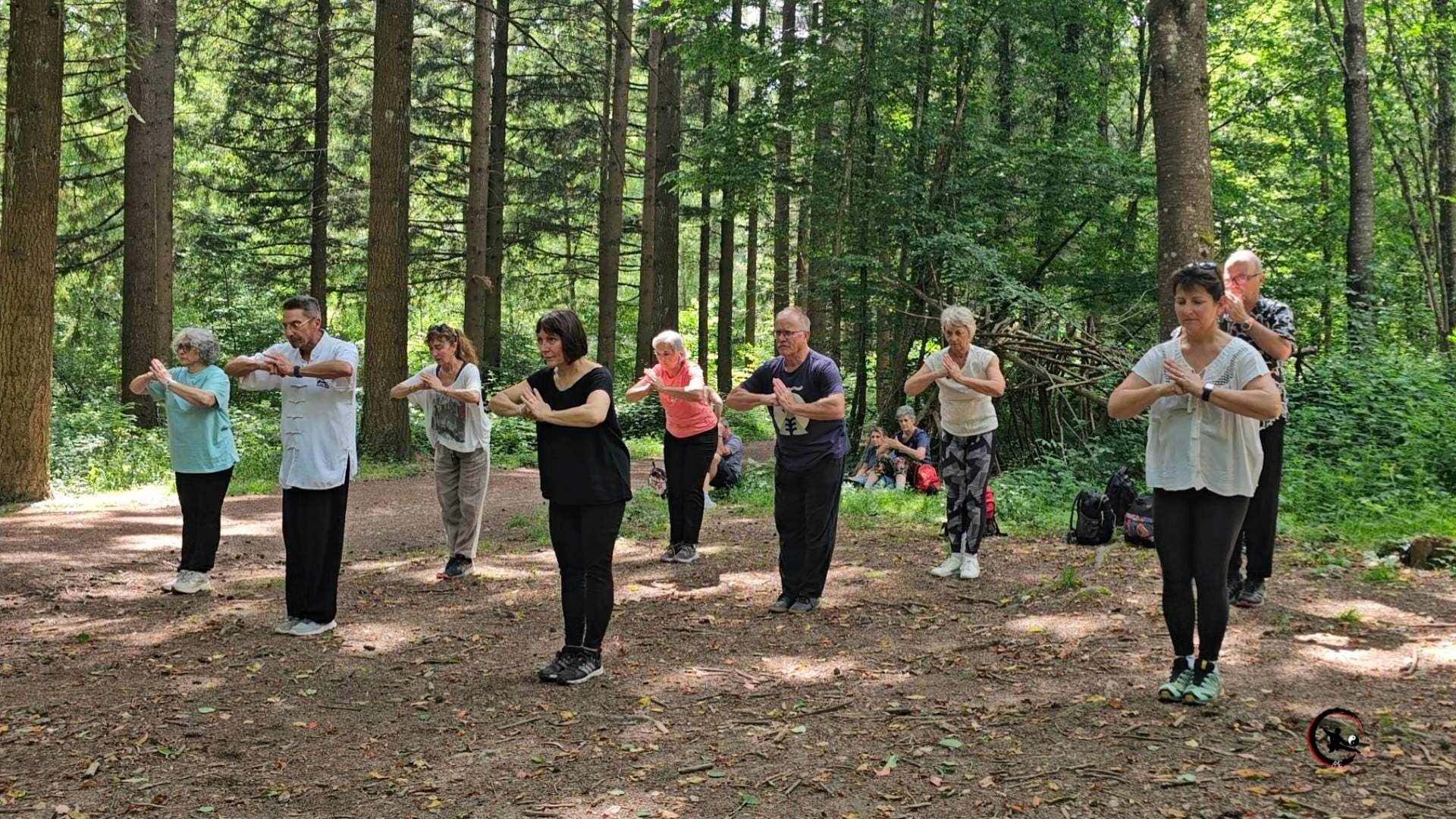 Bilan 2025-2026 et rentrée 2026-2027, Qi Gong et Tai Chi à Bourgoin-Jallieu, Maubec et Ruy