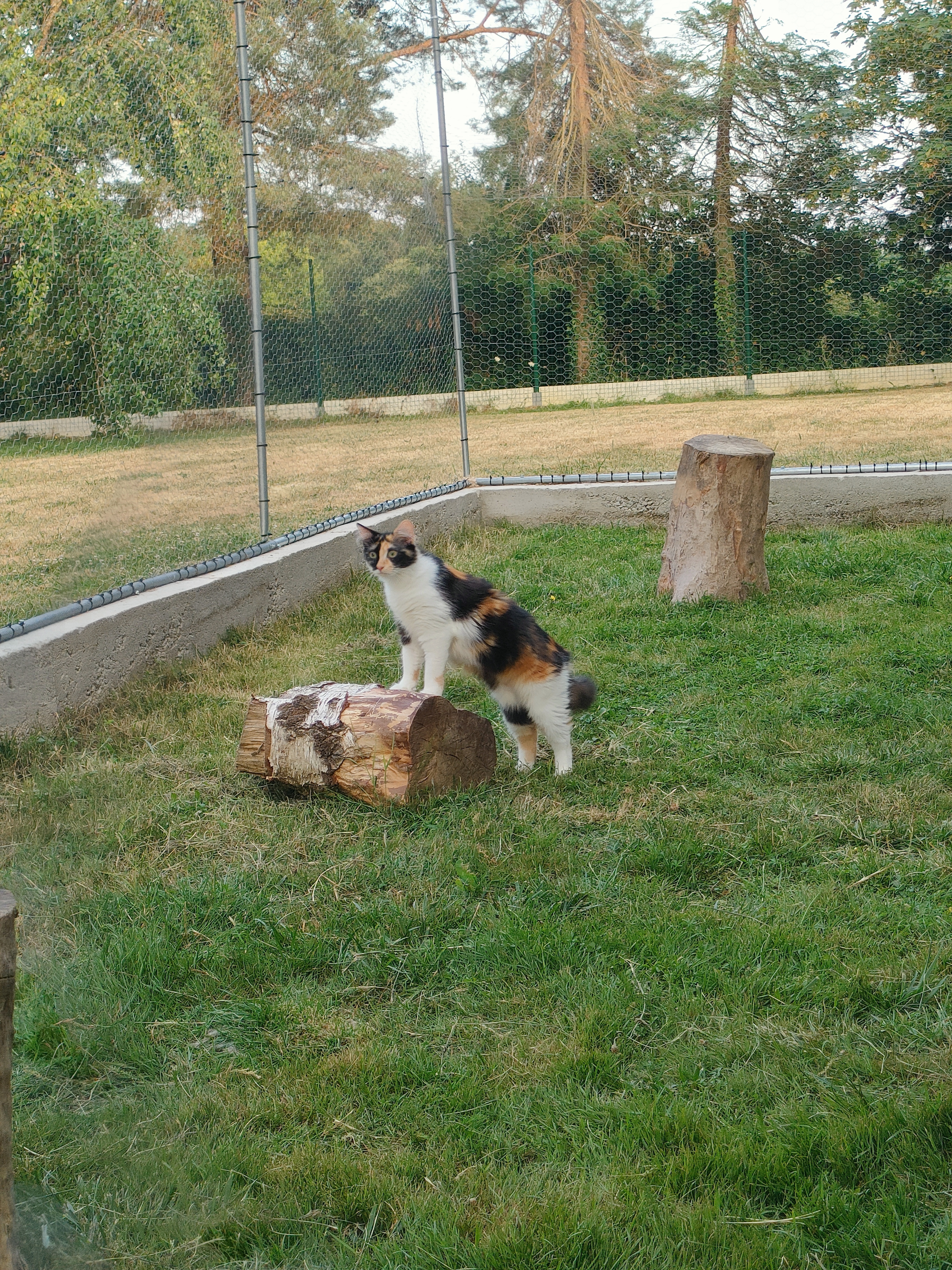 Img20260627212048