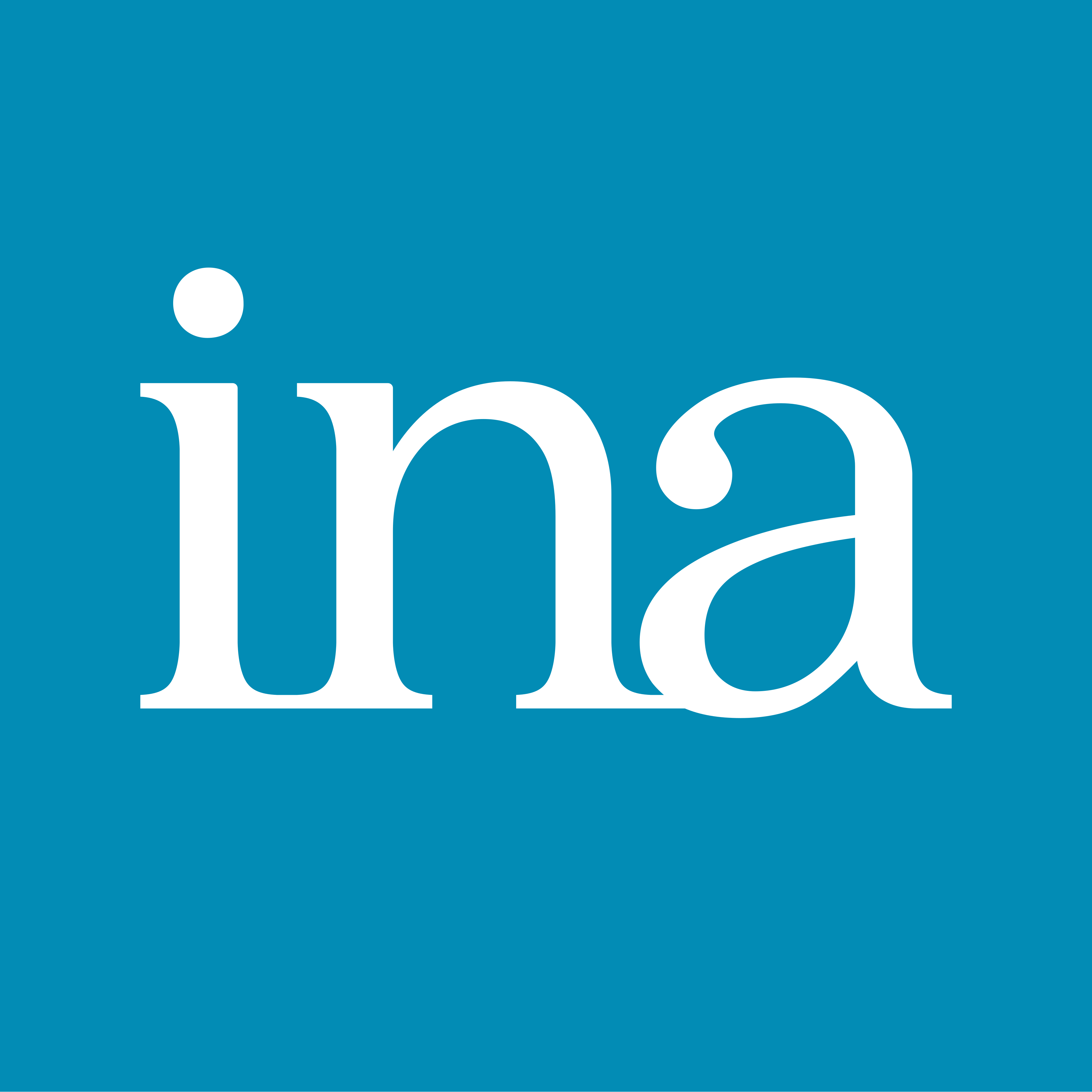Logo INA-svg