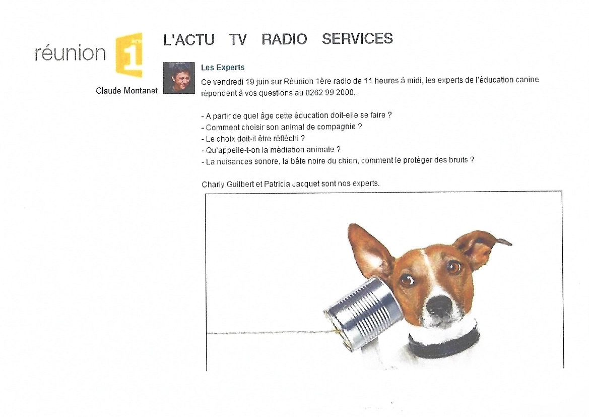 Presentation les experts mediation animale 19 06 2015-1-