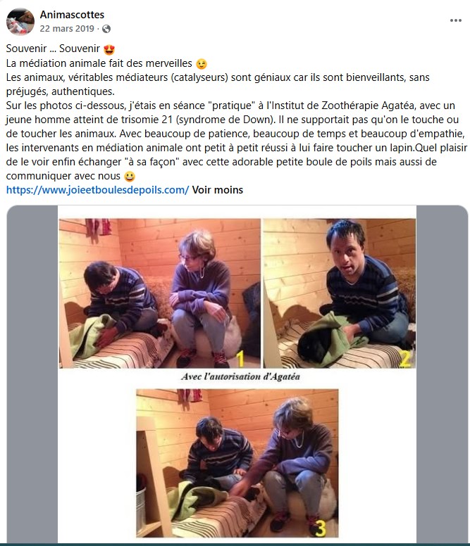Stage-Agatea-Lapin