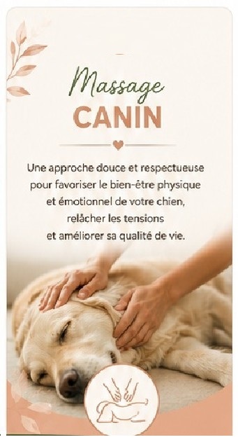 Terrain-massage-canin