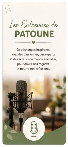 Terrain-Les-Entrevues-de-Patoune