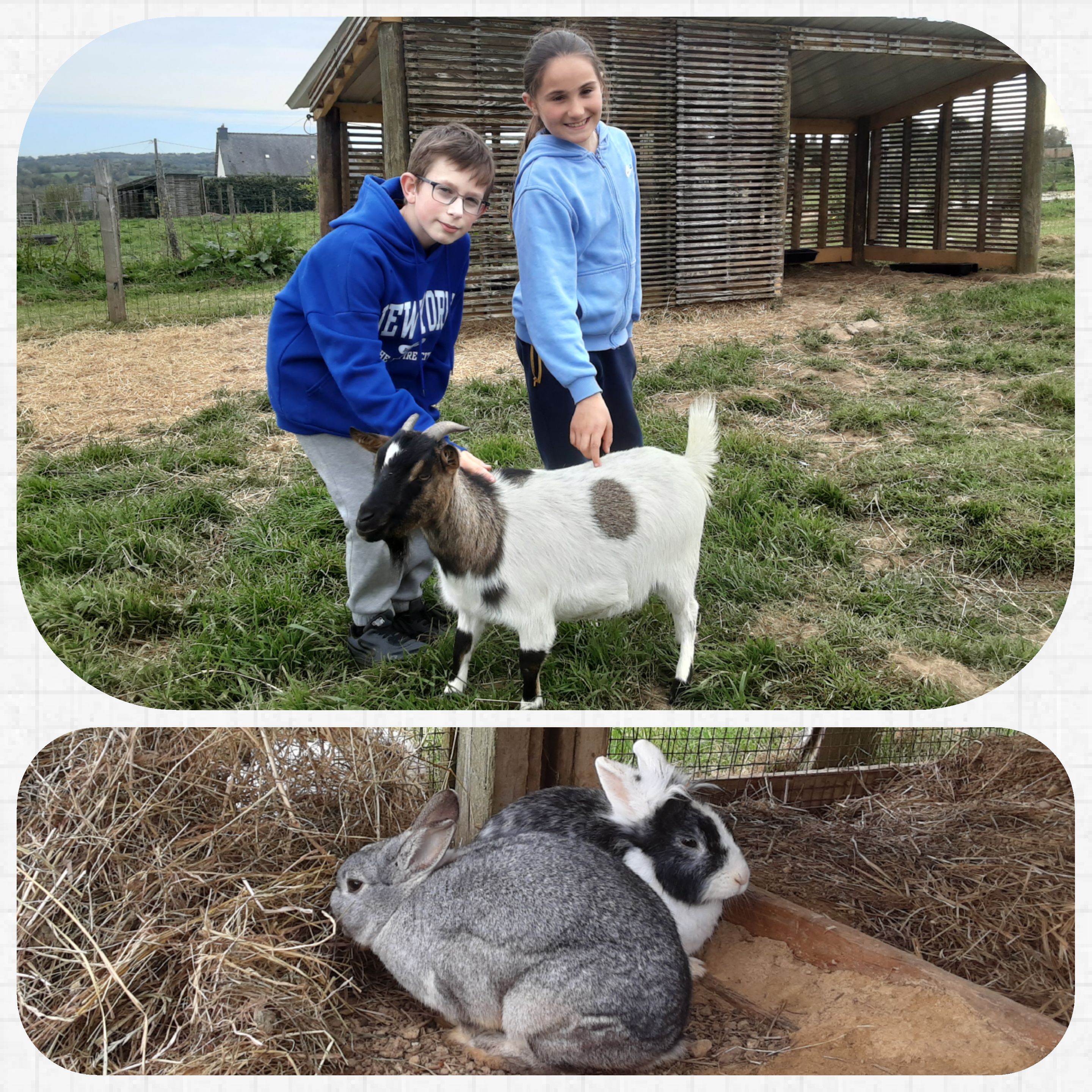 Ferme ty lipous photo 5