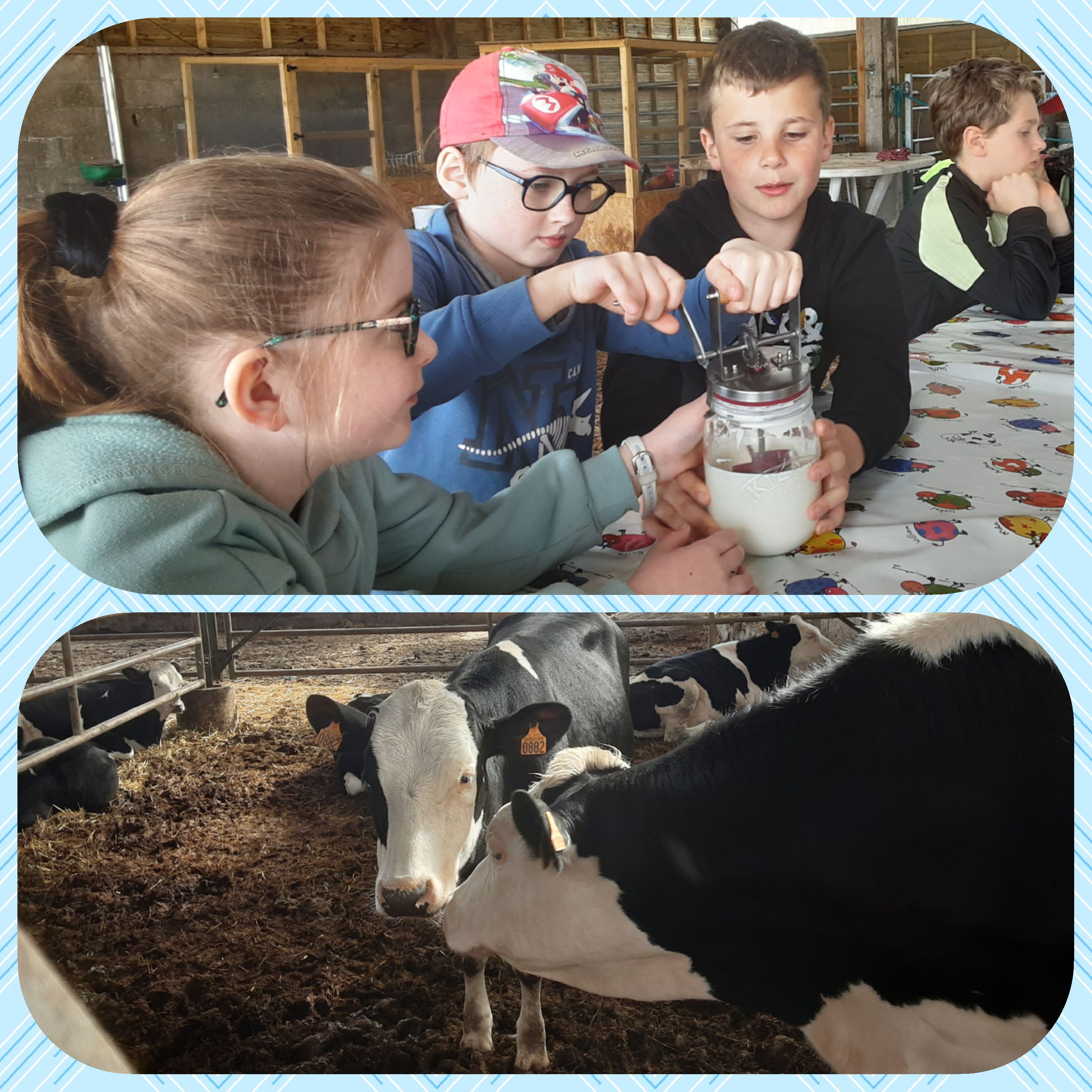 Ferme ty lipous photo 4