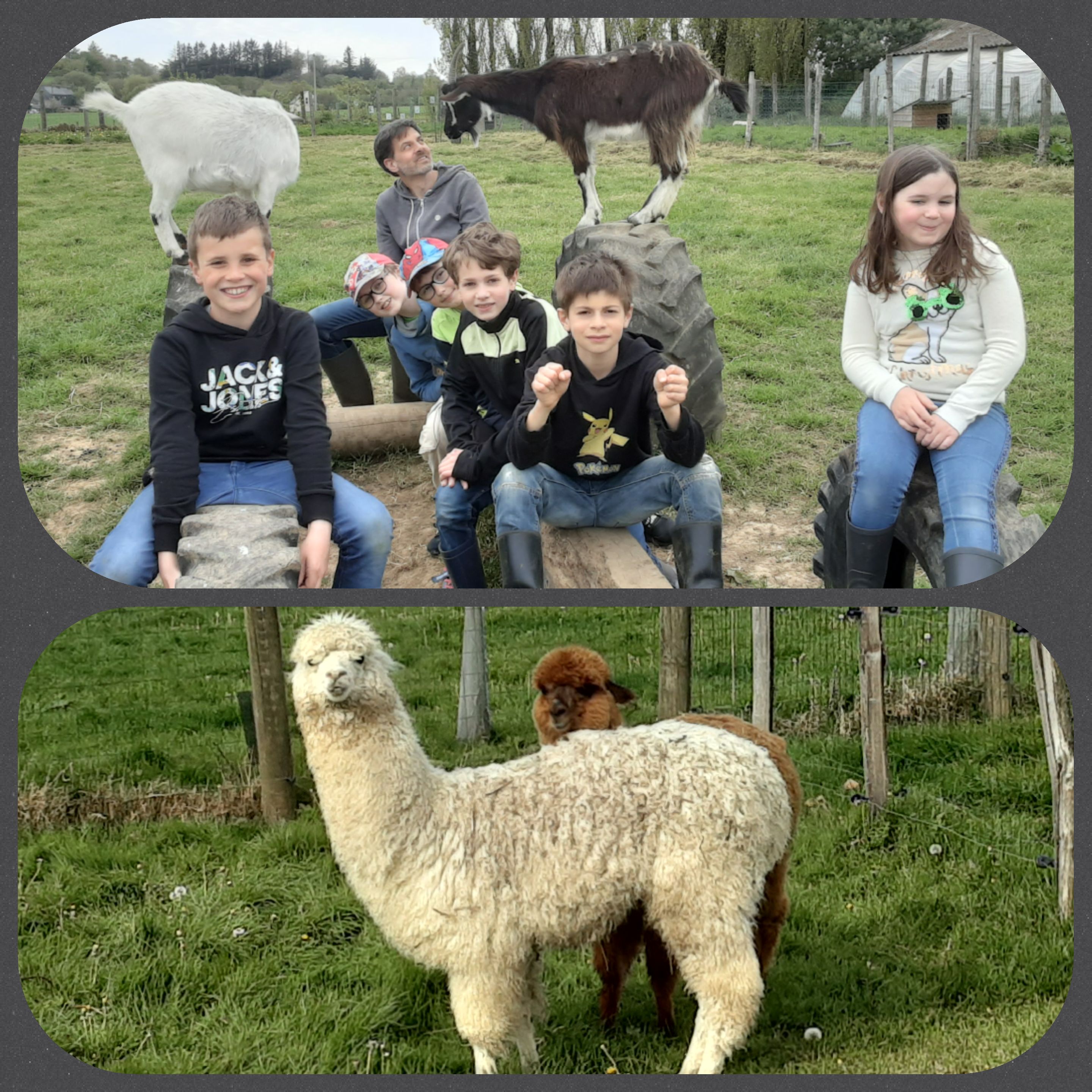 Ferme ty lipous photo 3