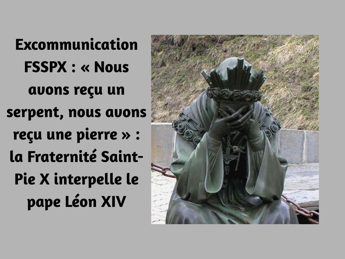 -Excommunication-FSSPX-Nous-avons-recu-un-serpent-nous-avons-recu-une-pierre-la-Fraternite-Saint-Pie-X-interpelle-le-pape-Leon-XIV