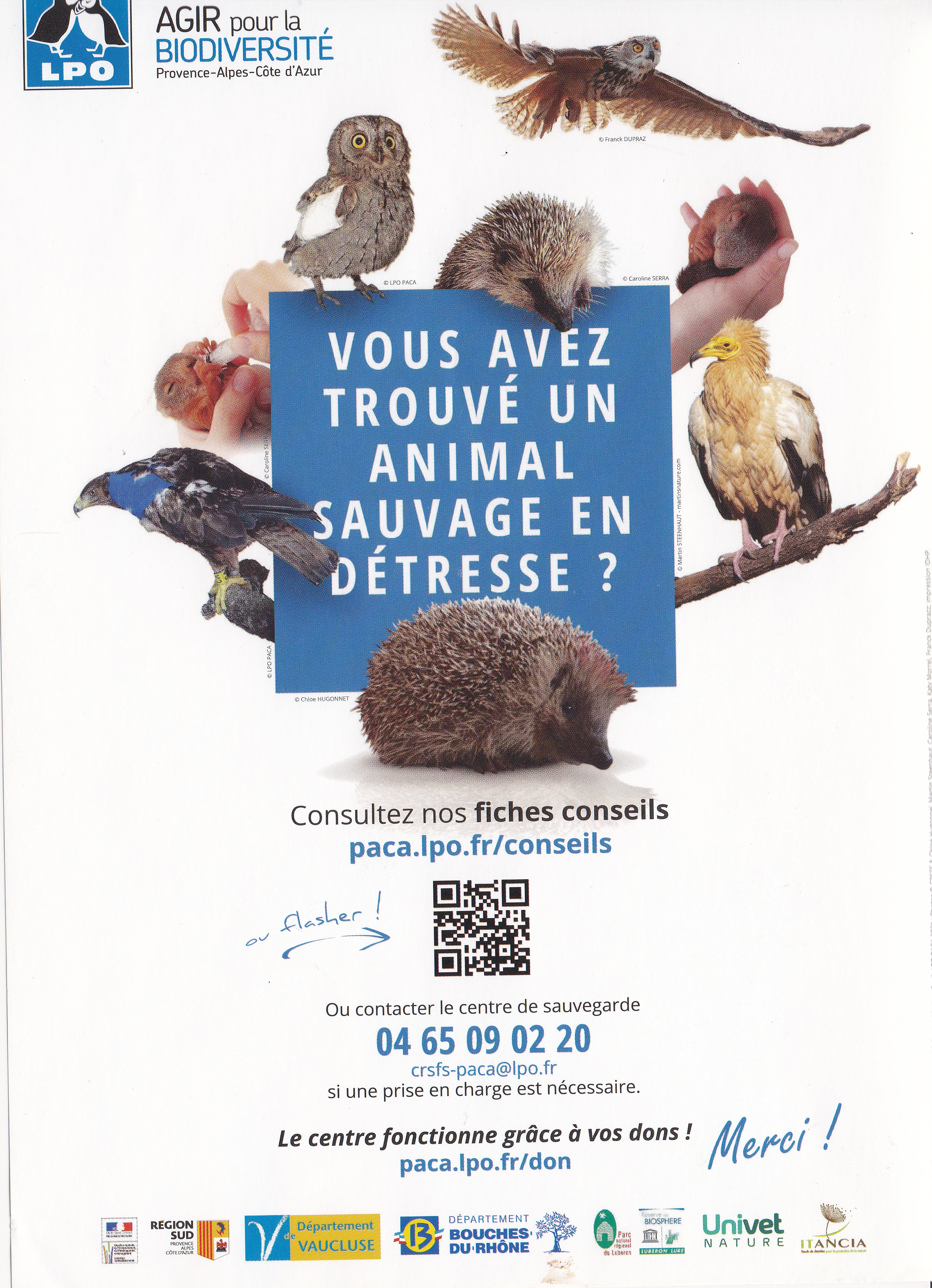 Animal-en-detresse