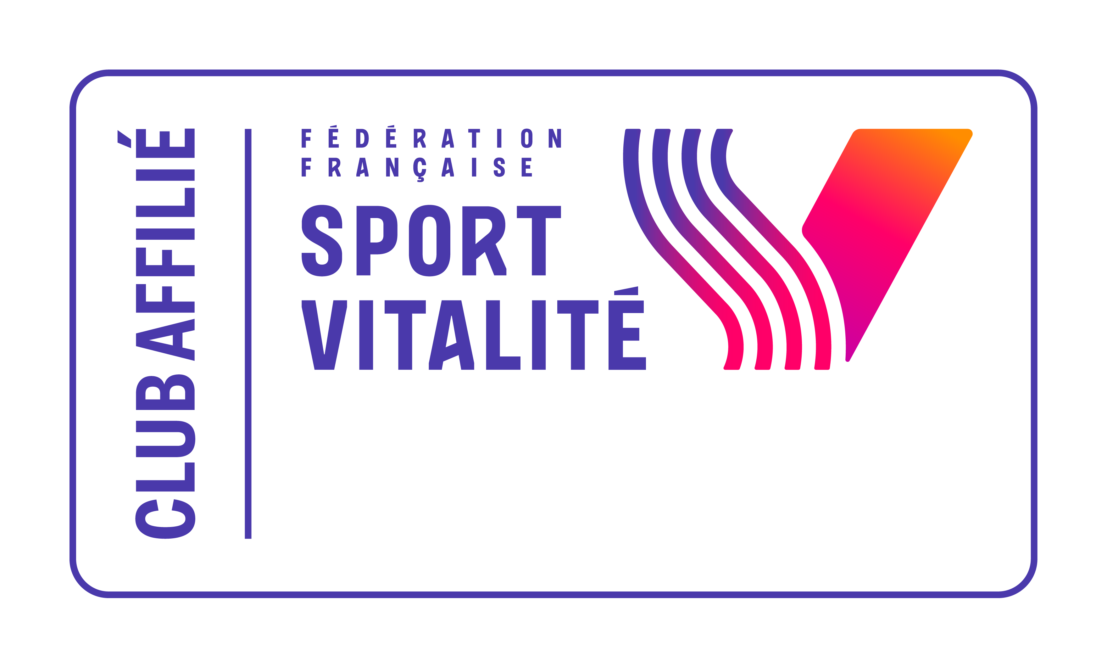 Ffsv exe matrice logotype club affilie couleur rvb