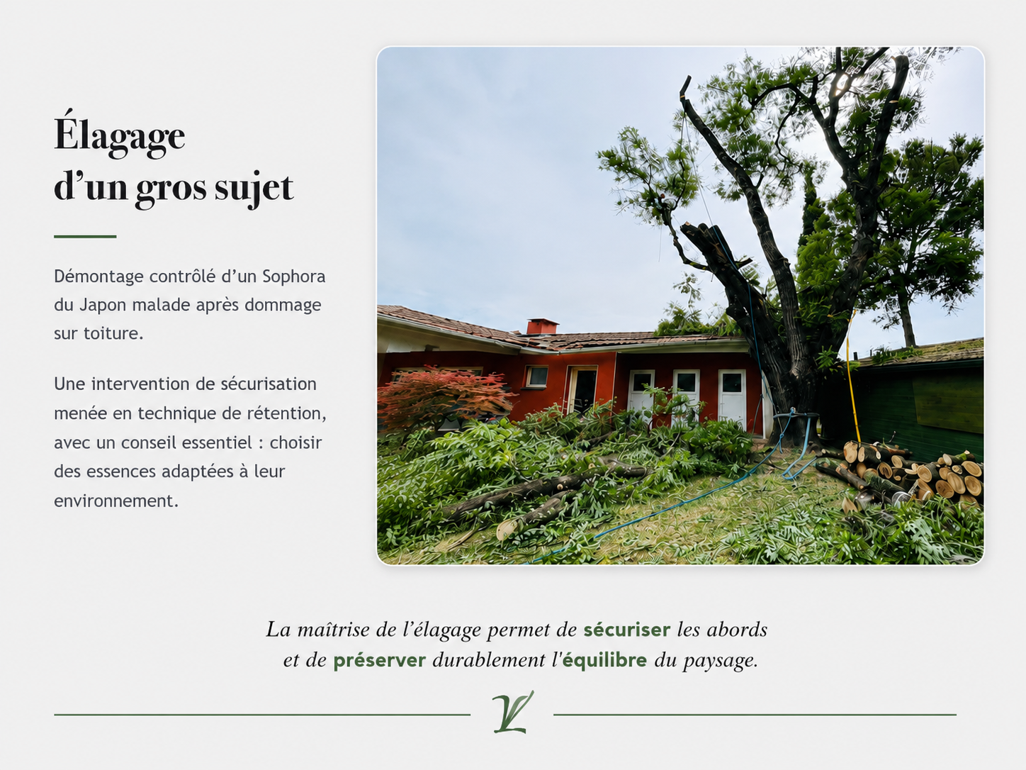 Elagage-d-un-gros-sujet