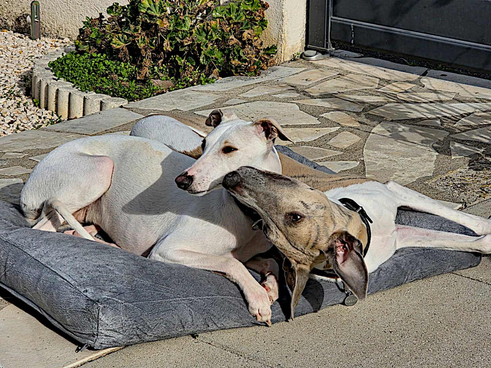 Viki snow coussin