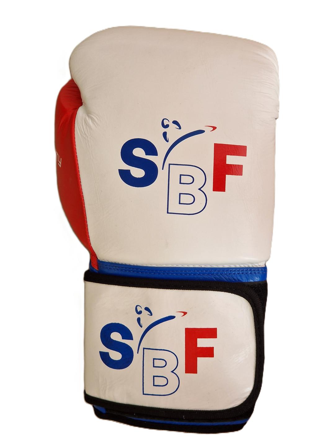 Gants de boxe SBF FFSBFDA