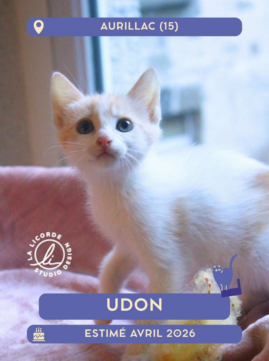 Udon