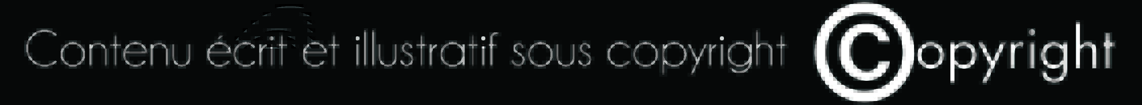 Copyright-noir