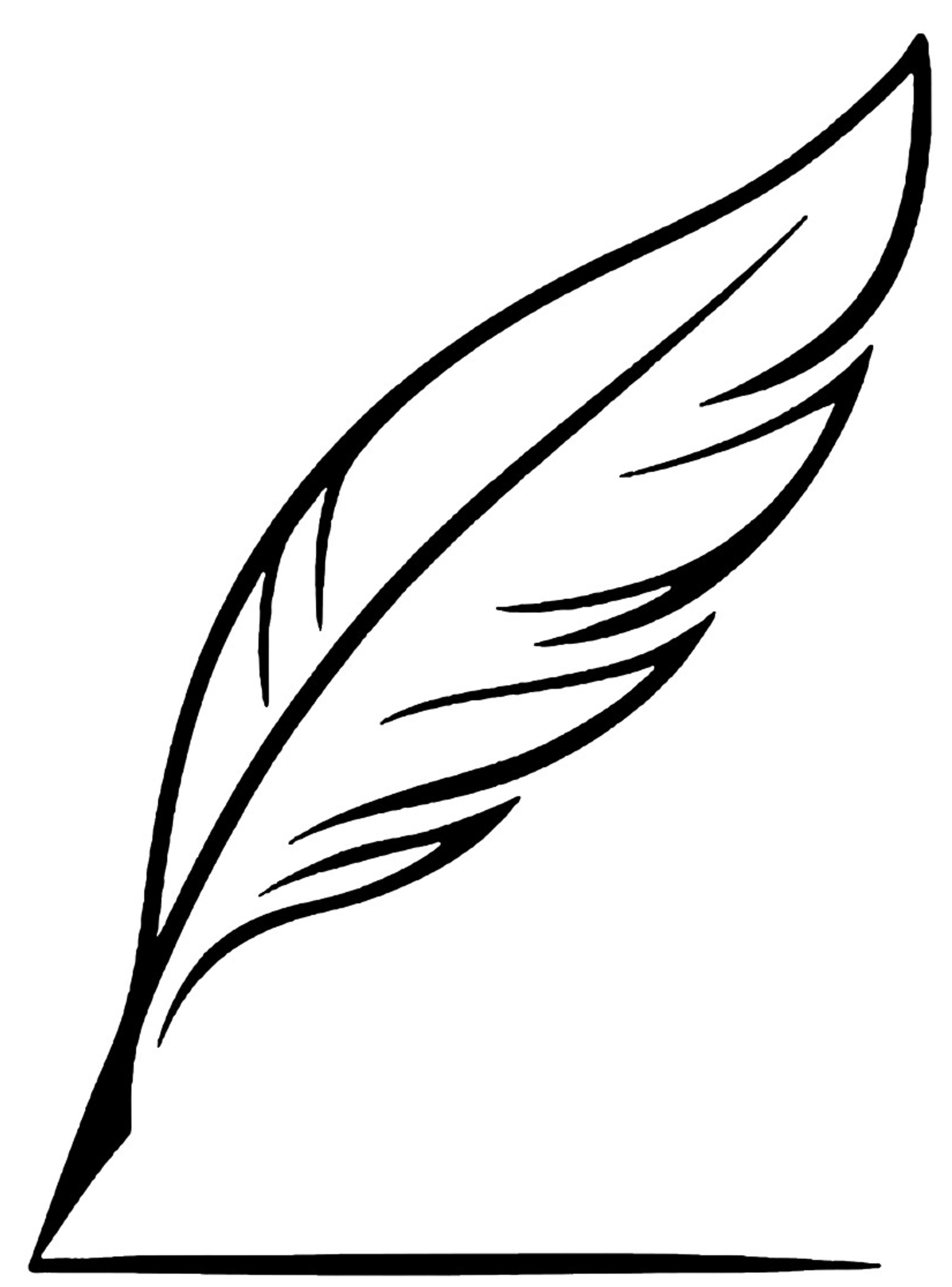 Plume-seule-fond-blanc