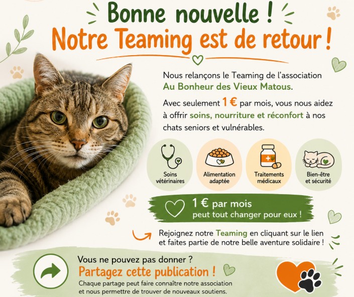 🐾 Notre Teaming est de retour ! 🐾
