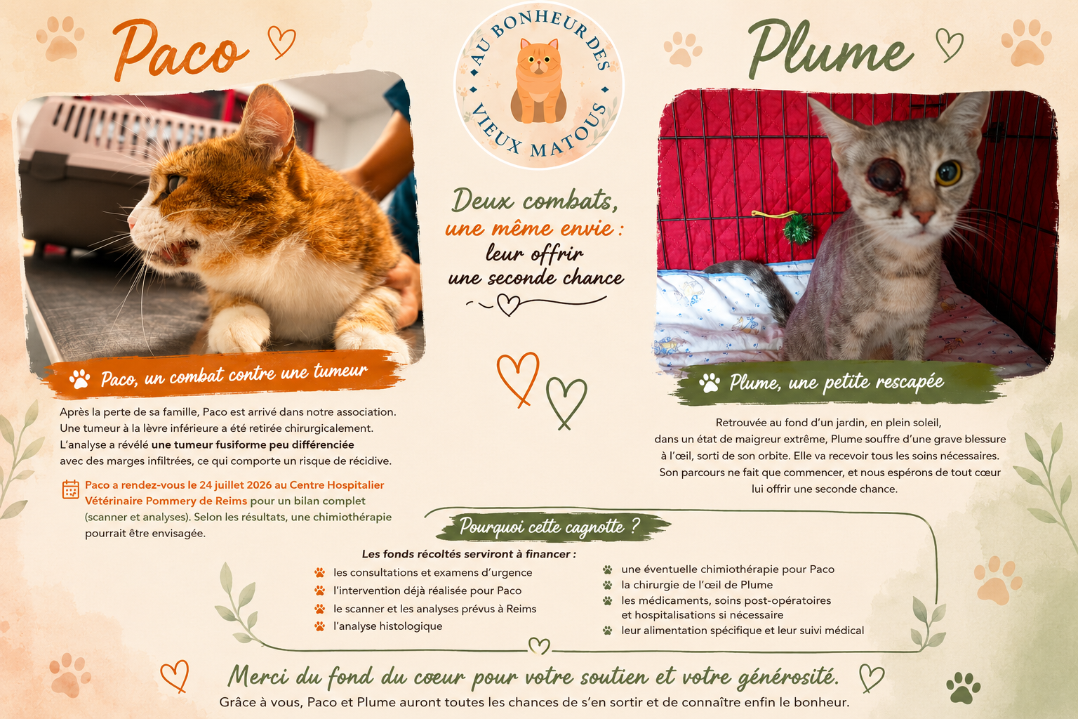 Aidez-nous à offrir une seconde chance à Paco et à Plume ❤️