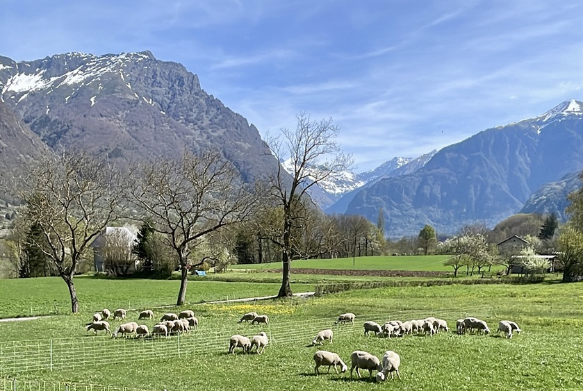 Earl-La-Thuilliere