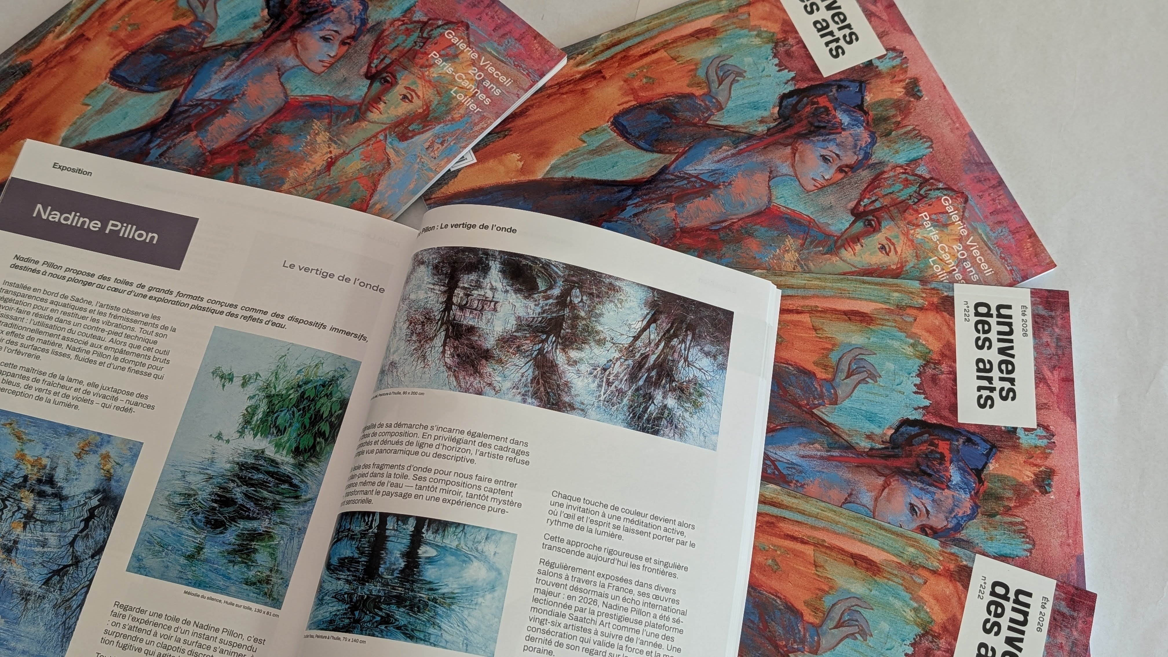 Nadine pillon studio view artwork and magazine 2026 jpg