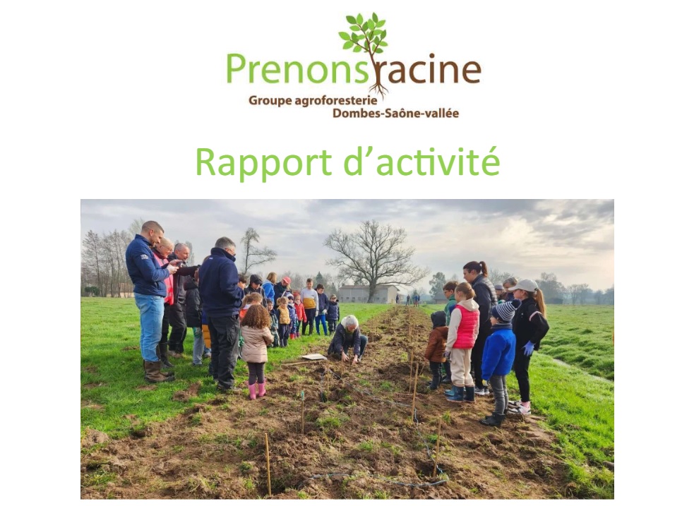 Rapport