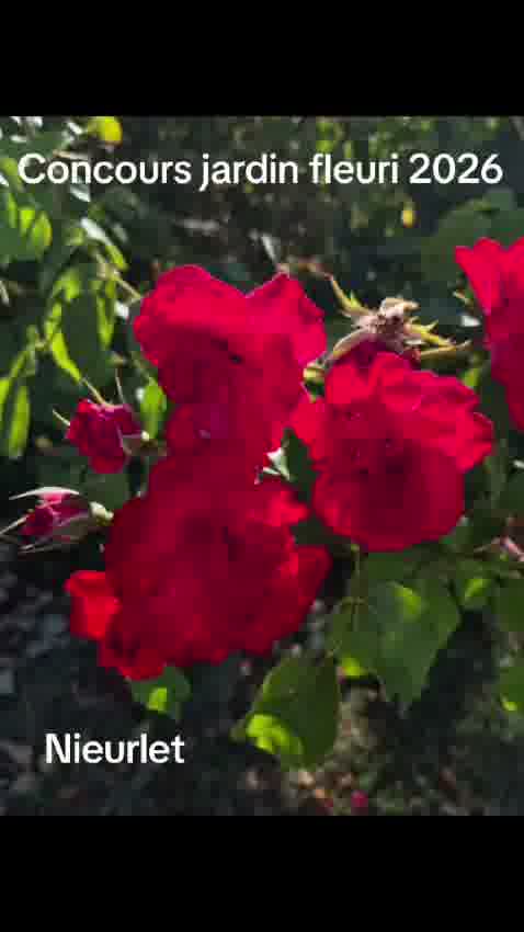 Ezgif frame 034